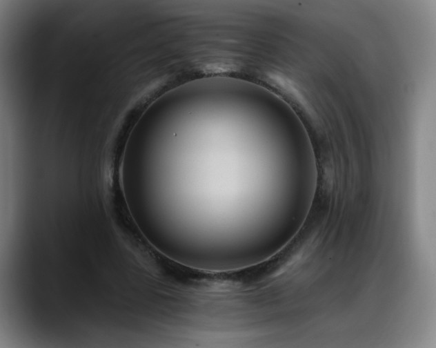 X0000088860539200706151737