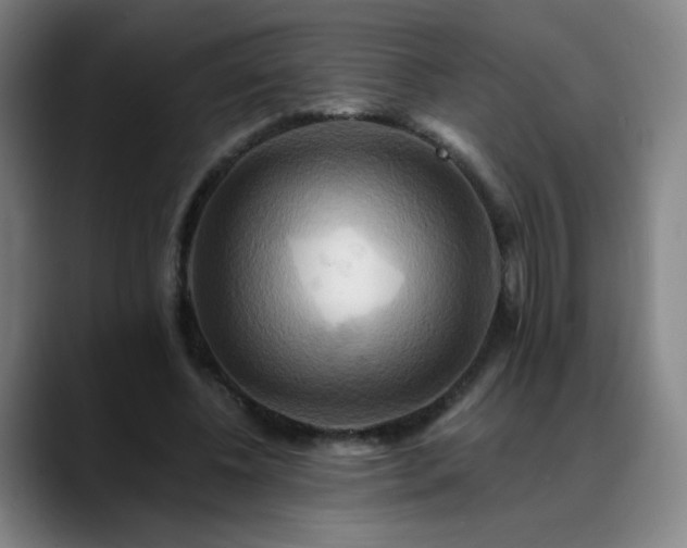 X0000088860540200706151737