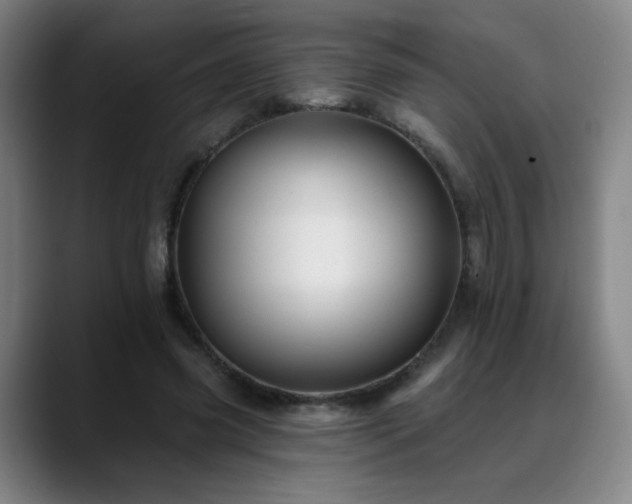 X0000088860541200706151737