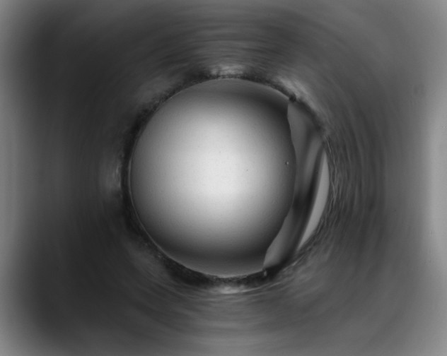 X0000088860543200706151737