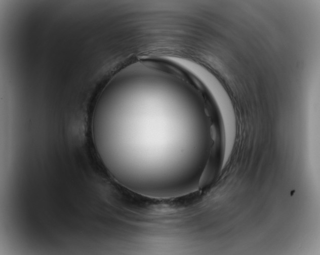 X0000088860544200706151737
