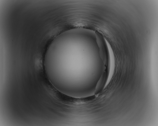 X0000088860547200706151737