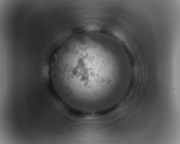 X0000088860550200706151737