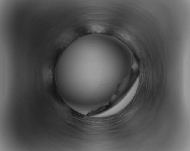 X0000088860551200706151737