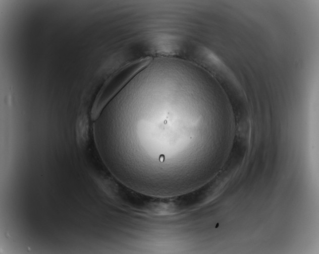 X0000088860552200706151737