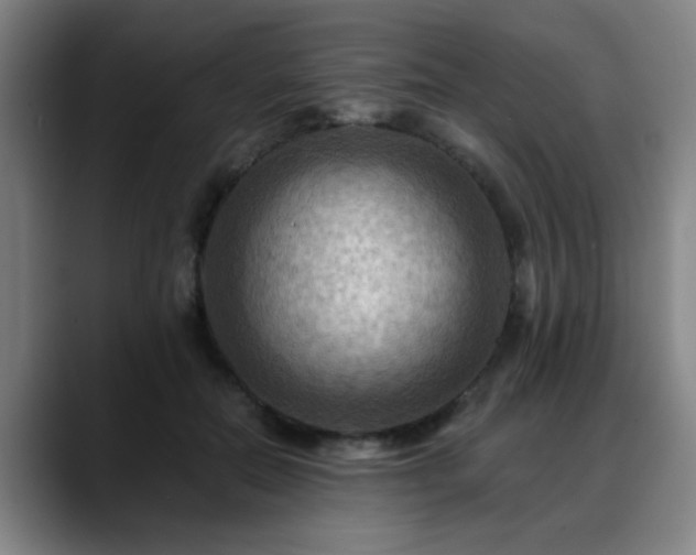 X0000088860554200706151737