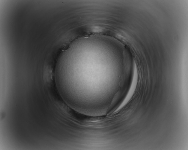 X0000088860555200706151737