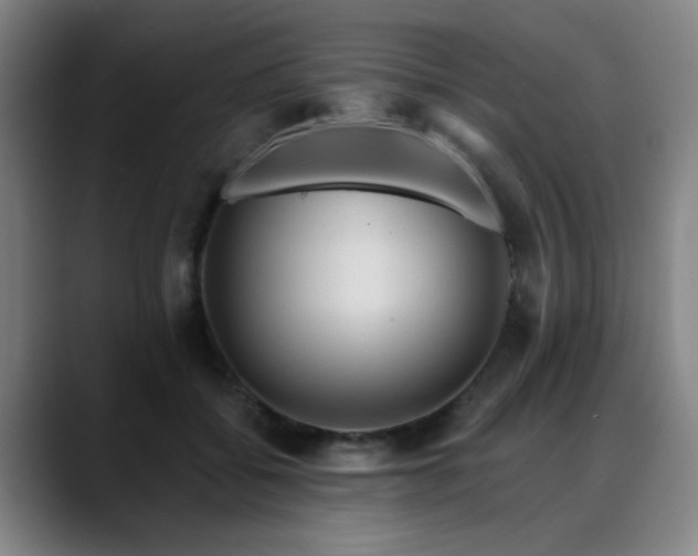 X0000088860556200706151737