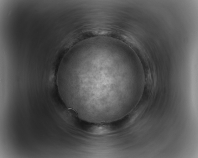 X0000088860557200706151737