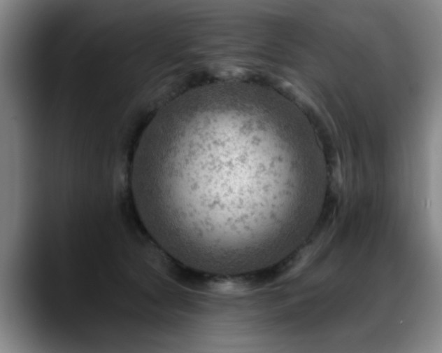 X0000088860561200706151738