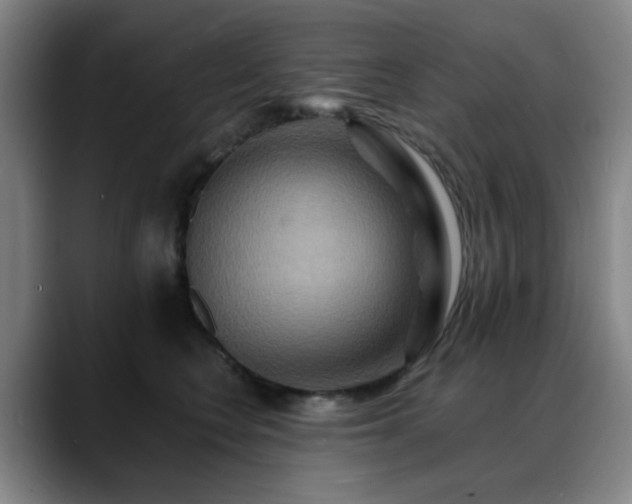 X0000088860566200706151738