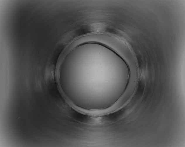 X0000088860570200706151738