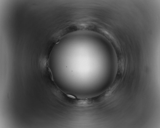 X0000088860574200706151738