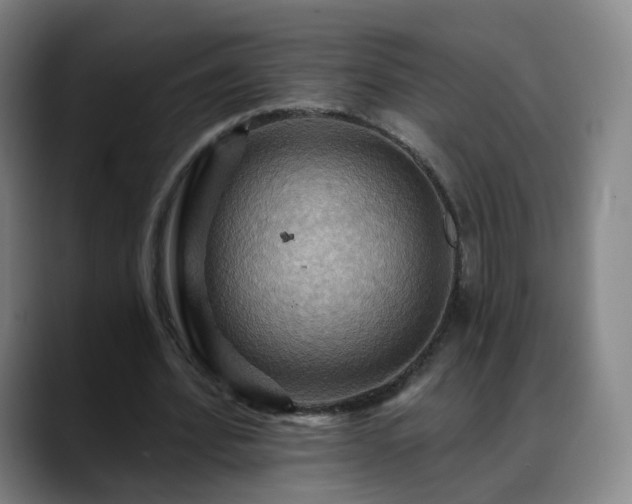X0000088860580200706151737