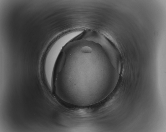 X0000088860584200706151737