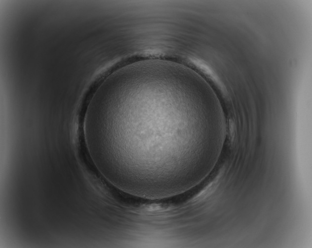 X0000088860588200706151737
