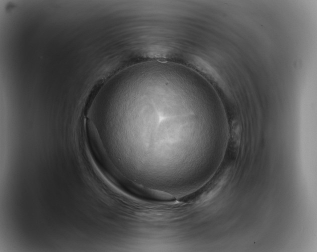 X0000088860589200706151737