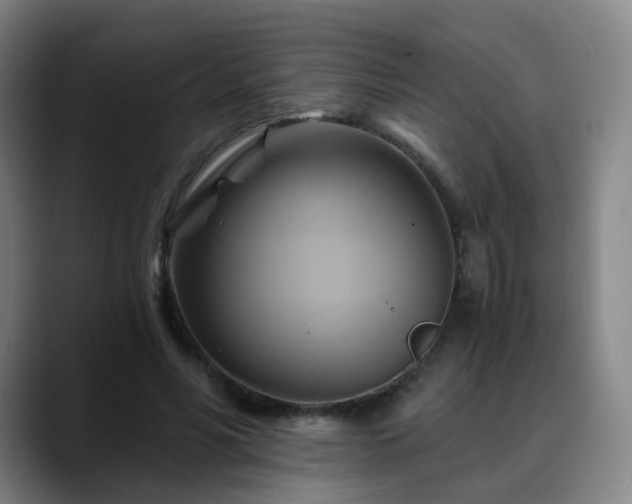 X0000088860590200706151737