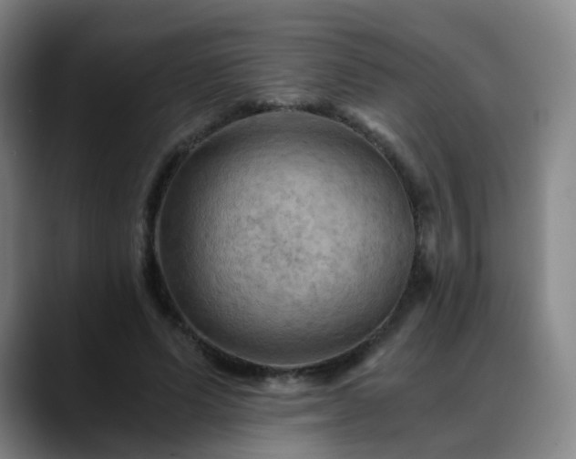 X0000088860591200706151737