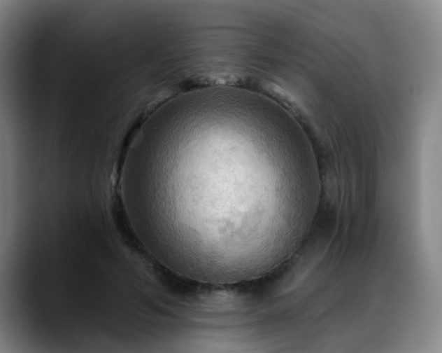 X0000088860594200706151737
