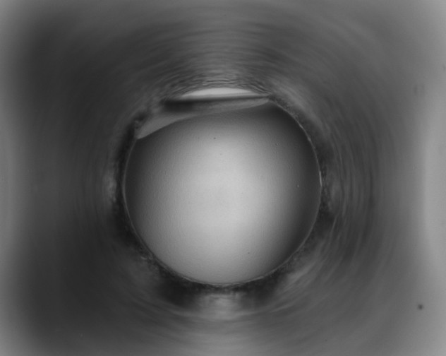 X0000088860595200706151737