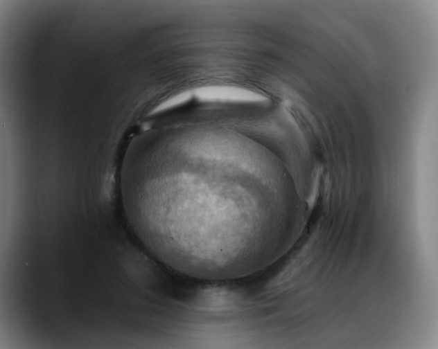 X0000088860596200706151737
