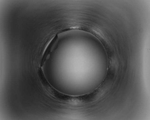 X0000088860598200706151737