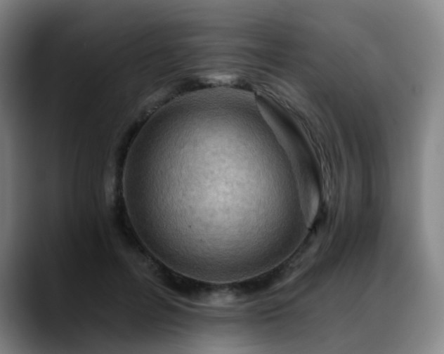 X0000088860600200706151737