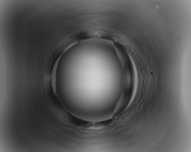 X0000088860601200706151737
