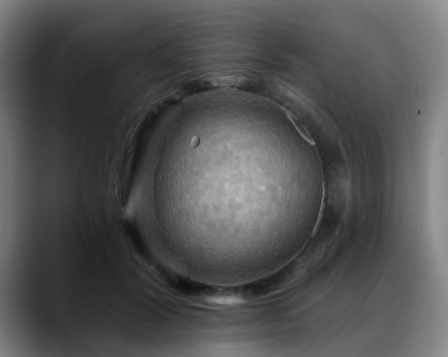 X0000088860604200706151737