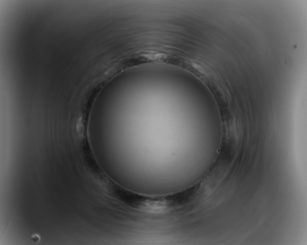 X0000088860606200706151737