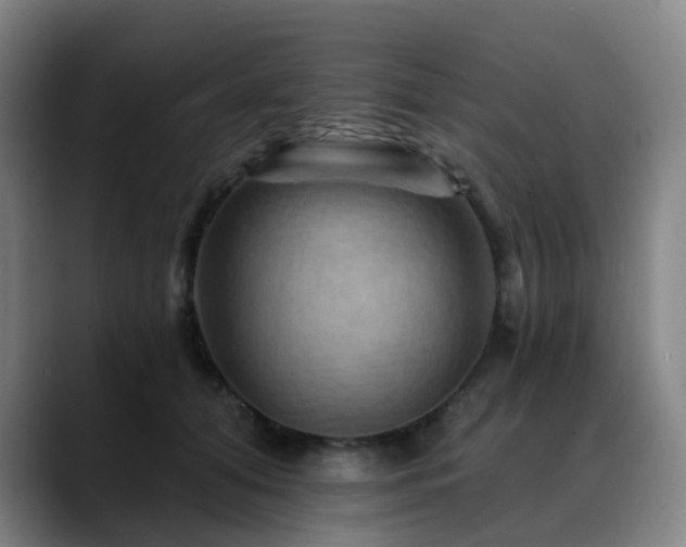 X0000088860608200706151737