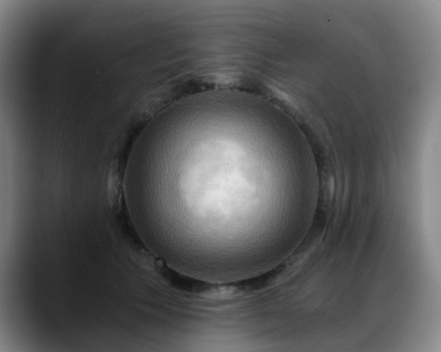 X0000088860609200706151737