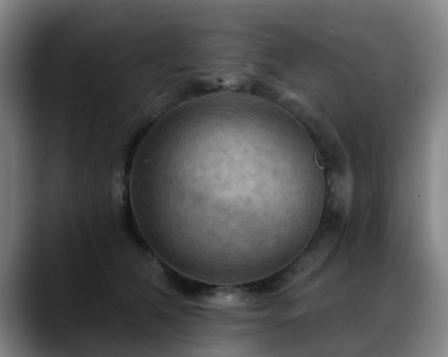 X0000088860612200706151737