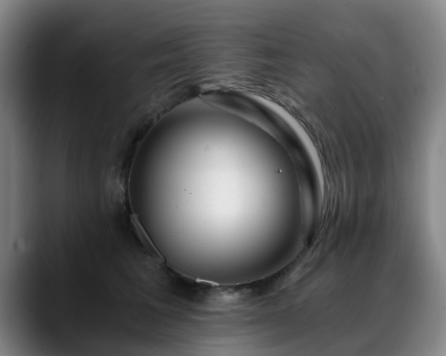X0000088860613200706151737