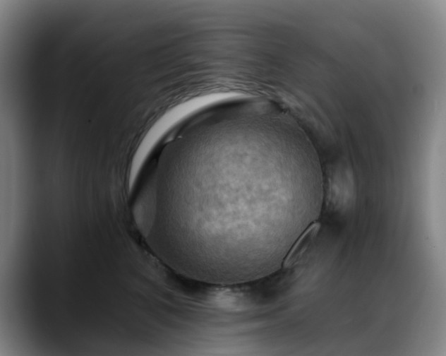 X0000088860616200706151737