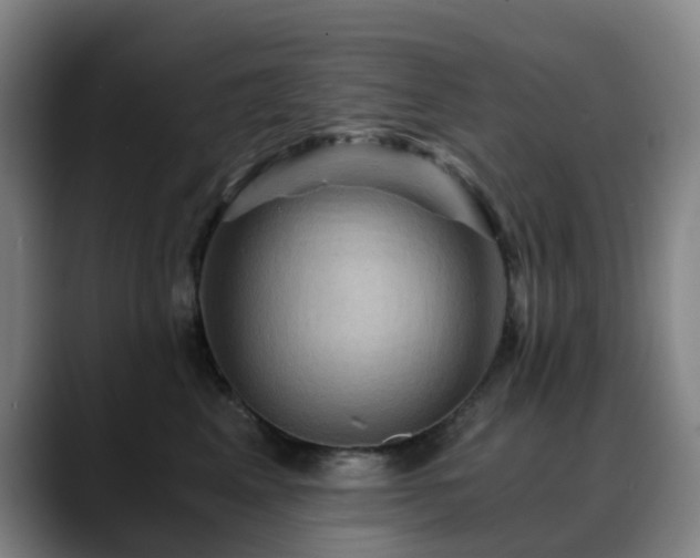 X0000088860617200706151737