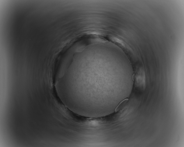X0000088860620200706151737