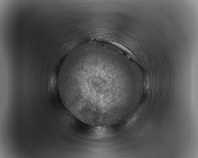 X0000088860623200706151737