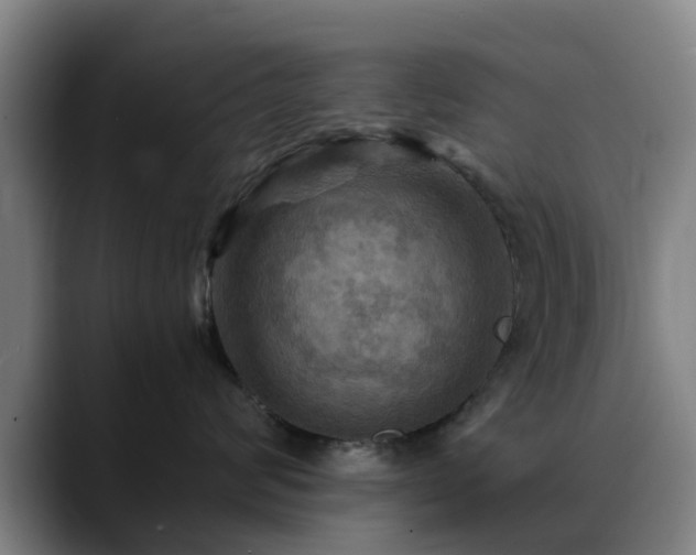 X0000088860624200706151737