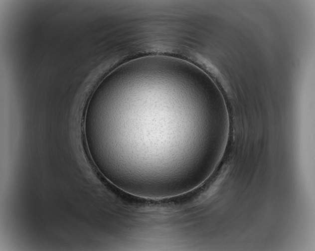 X0000088860625200706151736
