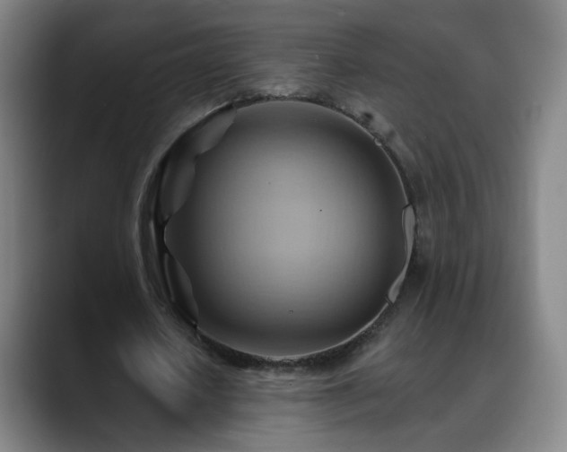 X0000088860626200706151736