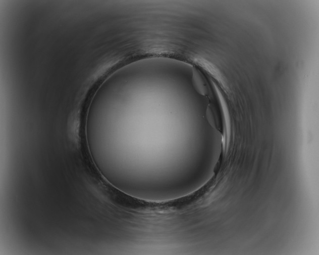X0000088860627200706151736