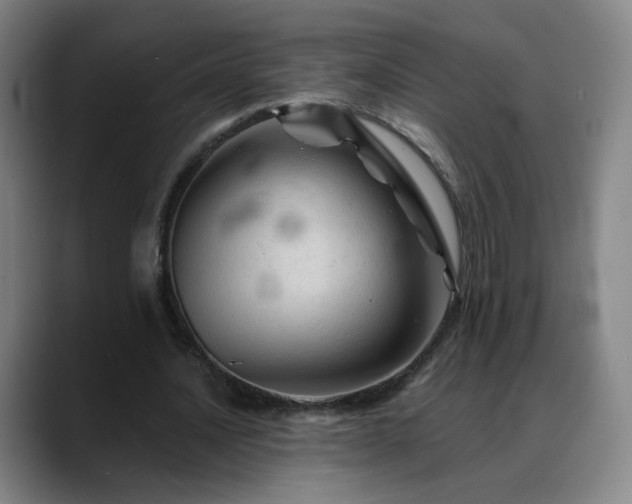 X0000088860628200706151736
