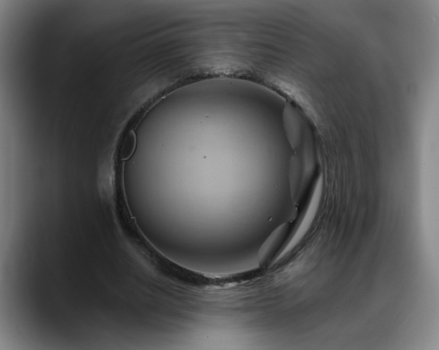 X0000088860630200706151736