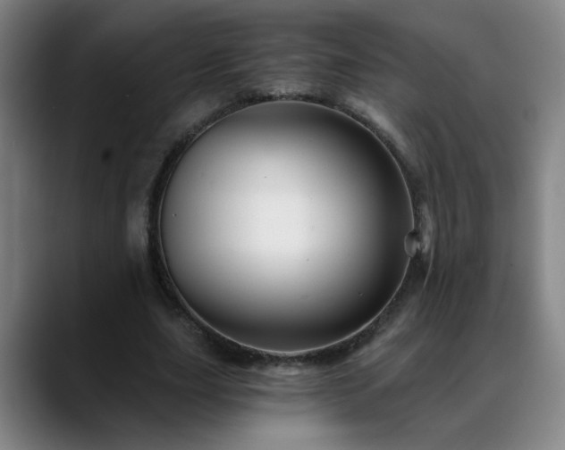 X0000088860631200706151736
