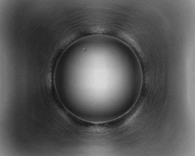 X0000088860633200706151736