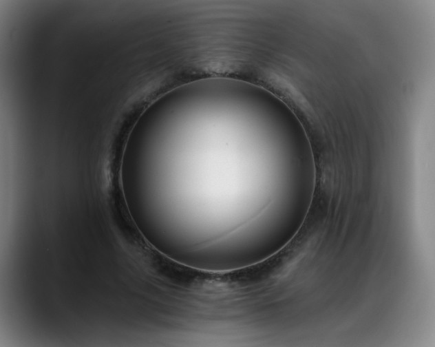 X0000088860635200706151736