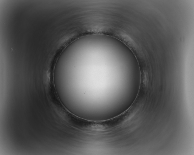 X0000088860636200706151736