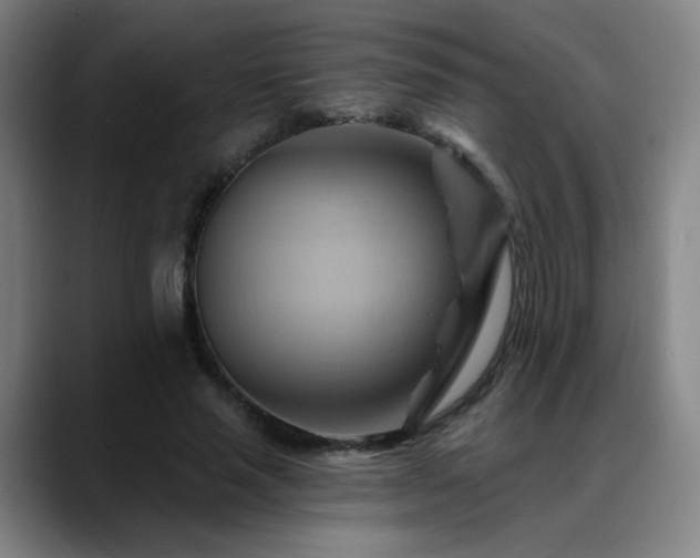 X0000088860637200706151736